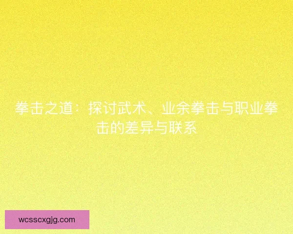 拳击之道:探讨武术、业余拳击与职业拳击的差异与联系 拳击之道:探讨武术、业余拳击与职业拳击的差异与联系